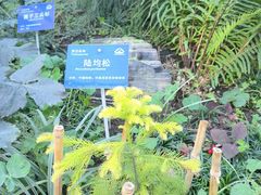 -国家植物园南园
