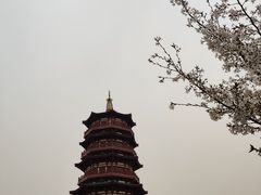 -隋唐大运河文化博物馆