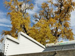 -新场古镇-停车场