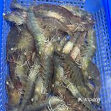 青岛地道美食看桢橱🏠。