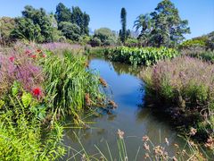 -墨尔本皇家植物园