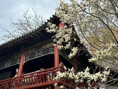 -碑林公园
