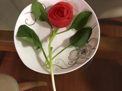 -葱妈母婴医护月嫂中心(浦东店)