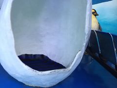 -泉城欧乐堡戏水湾艺术养生温泉