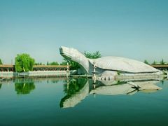 -东方巨龟苑景区