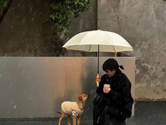 -DQ·蛋糕·冰淇淋(通州万达店)