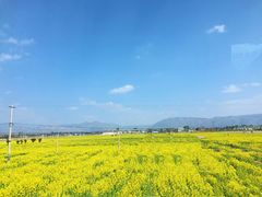 -大理洱海