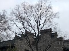 -老门东历史文化街区