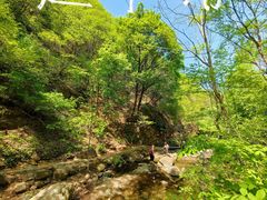-香炉山国家森林公园