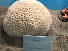 -常州海昌海洋探索馆
