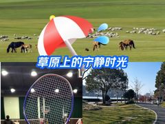 -上海体育场