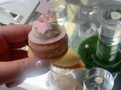 -苏州希尔顿酒店·园大堂吧