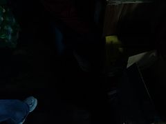 -皖北巫氏三胖地锅鸡(长淮总店)