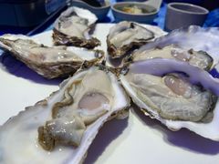 -千岛蚝高压锅生蚝·人参火锅(白云万达店)