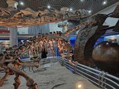 -国家自然博物馆