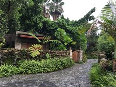 -龙山酒店温泉