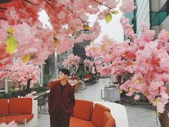 -城市露台景观餐厅(淮海路店)
