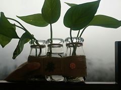 -雲栖斜街炸酱面馆