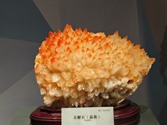 -湖南省地质博物馆