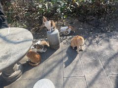 -敬亭山风景名胜区