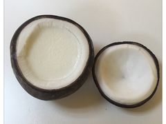 -志龙皇冠吃货椰子铺