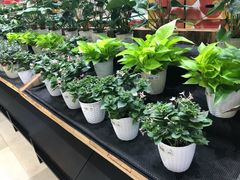 -果蔬好生活超市(乐堤港店)