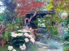 -上海鲜花港