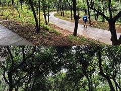 -燕晗山郊野公园