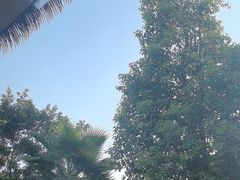 -茅草房·河畔园林火锅