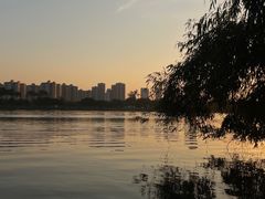 -鹤之洲湿地公园