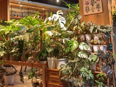 -1861意大利餐厅(文化广场店)