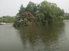 -新江湾城公园