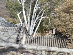 -潭柘寺景区
