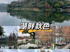 -重庆彩云湖湿地公园