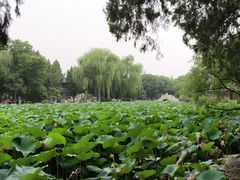 -莲池书院博物馆