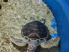 -顺德南宏海立方海洋公园