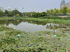 -麦当劳(天塔道店)