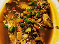 -7017浙菜•建德味(中财店)
