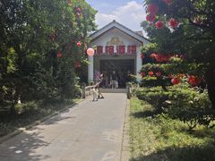 -两河城市森林公园