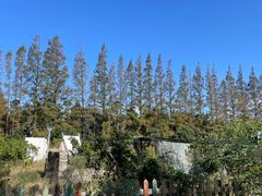 -前小桔亲子创意农场·草莓采摘·露营烧烤