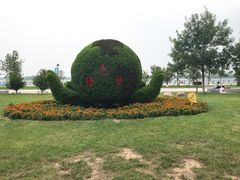 -武清南湖绿博园