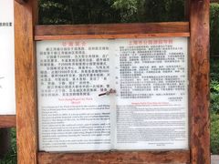 -新江湾城公园