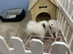 -汪说·狗咖(旺城大厦店)