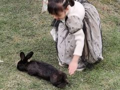-洪湖家庭农场·团建·露营·会议