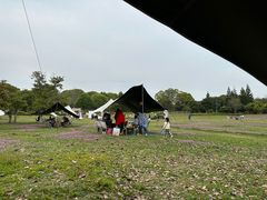 -福建鲤鱼洲酒店