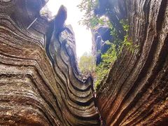 -梭布垭石林景区