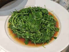 -新颐园本帮江浙菜·红烧猪手煨鲍鱼·红烧肉(顾村公园电台路店)