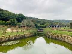 -龙寺生态园