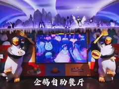 -帝企鹅自助餐厅•儿童岛•真企鹅(长隆企鹅酒店)