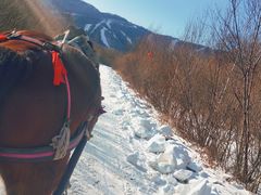 -亚布力新体委滑雪场